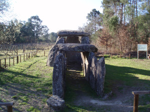 Anta da Cunha Baixa